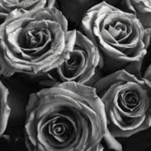 Meet your Posher, Kaity